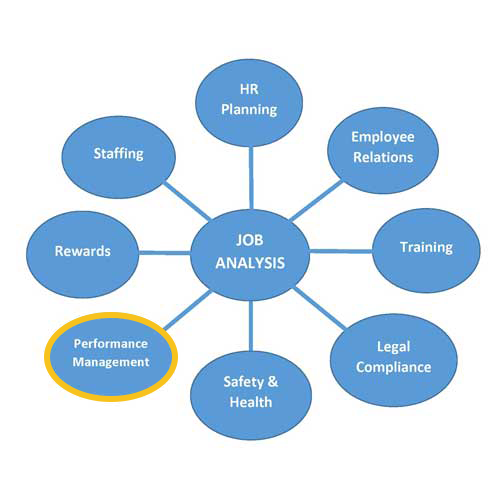 Job Analysis Uses Performance Management